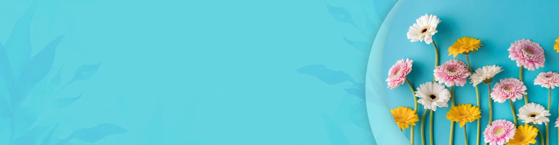 Бесплатная доставка