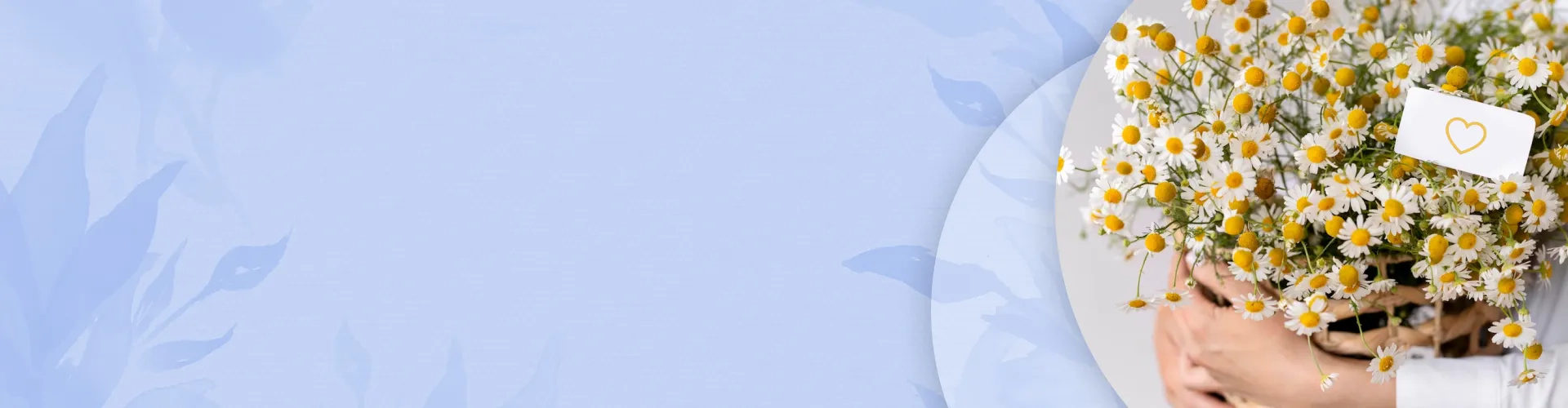 Дарим 200 бонусов!